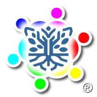 Redes Santa Cruz del Rincón